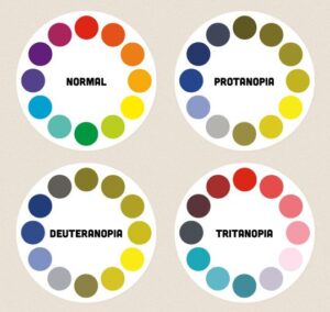 Four color wheels showing the comparisons between normal color vision and color-blindness